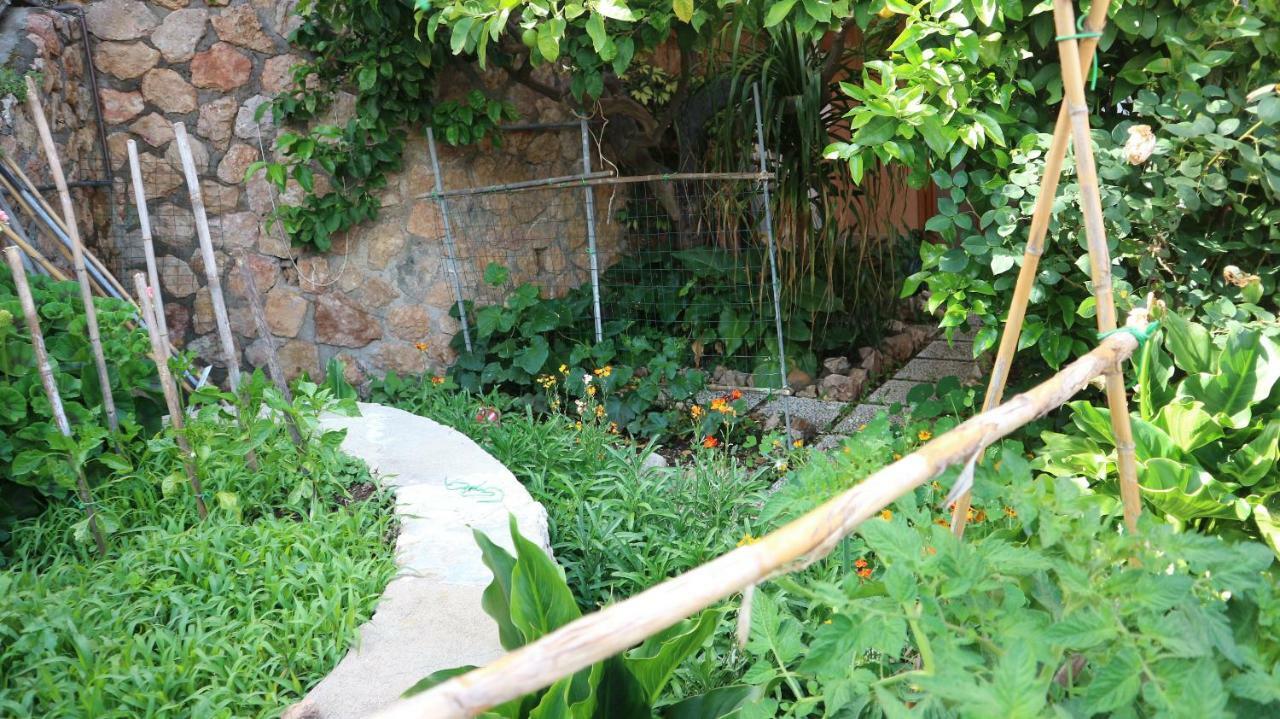 La Casa Di Elba E Mario Apartment Porto Santo Stefano  Exterior photo
